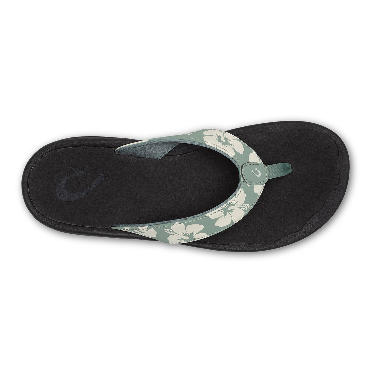 ‘Ohana  -  Silver Pine / Pua